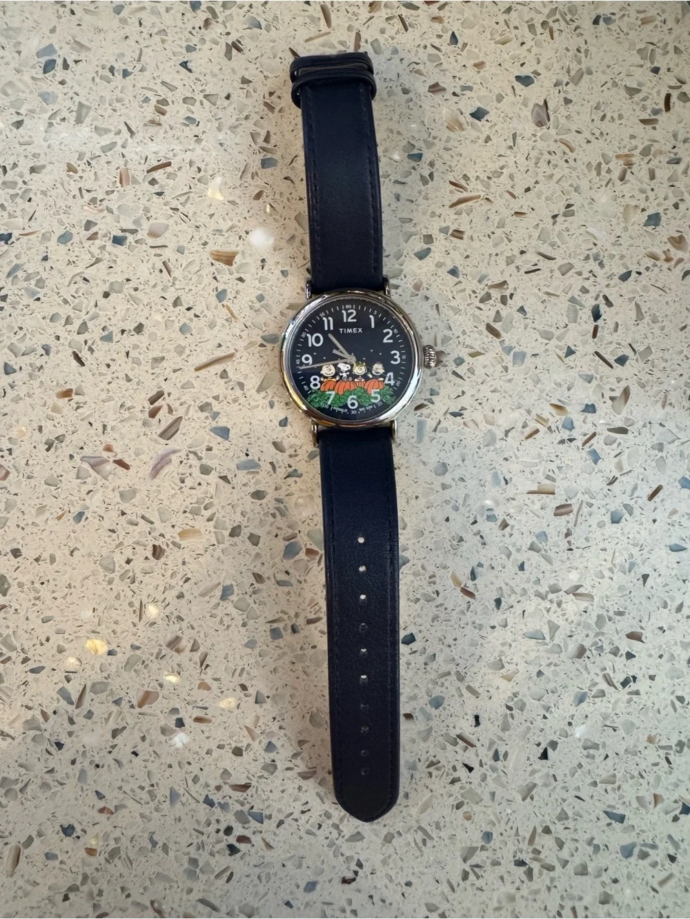 Timex Navy Dial Peanuts Pumpkin Watch with Blue Strap EUC